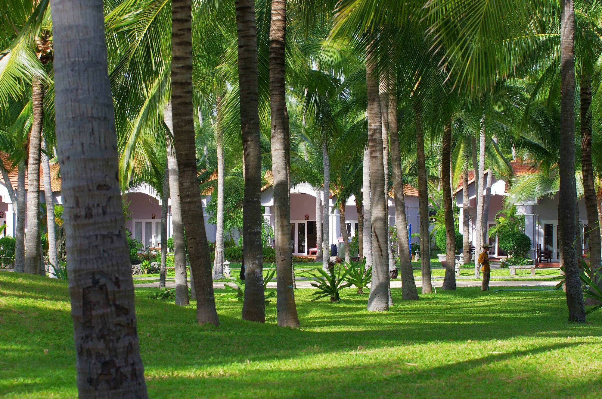 Muine Century Beach Resort & Spa Mui Ne Exterior photo